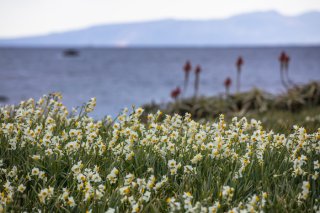 春を待つ気持ち 2022.3.7（月）