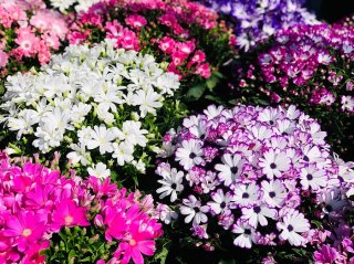 ちょっとしたコツでお悩み解決