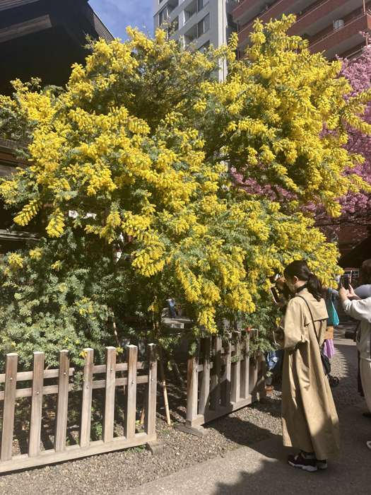 ものすごく立派です（C）コクハク