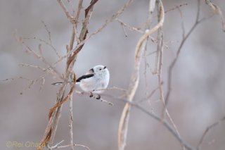 まだまだ寒い… 2022.3.23（水）