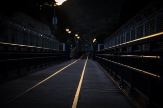 光に心震わせて 2022.3.28（月）