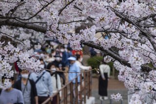 春を待っていた人びと 2022.4.4（月）