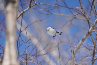 新生活慣れてきた？ 2022.4.6（水）