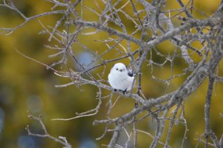 世界35位 2022.4.12（火）