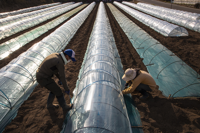 畑づくりの様子（写真:Koji Takano）