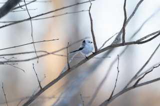 疲れがね。。2022.4.27（水）