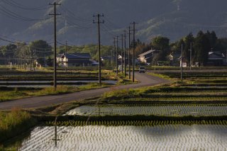 心地よい道、どこまでも続け 2022.5.2（月）