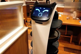 ファミレスの猫型ロボット、居眠りに遭遇！2020.4.30（土）