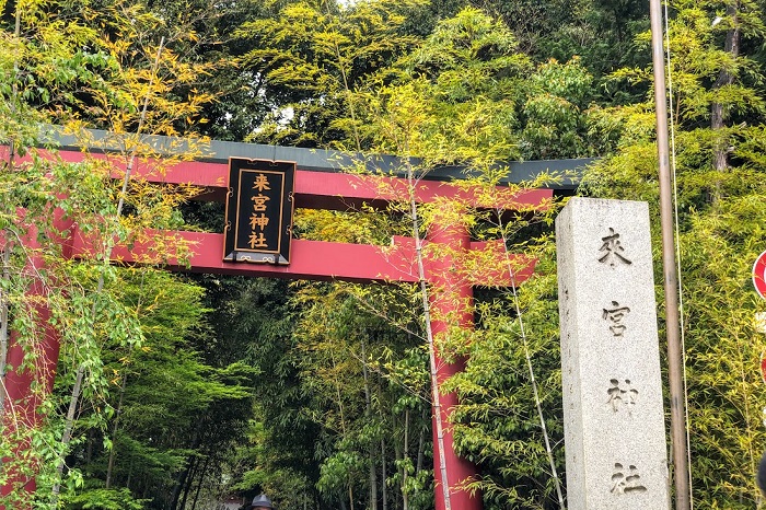 新緑に赤い鳥居が映えますな（C）コクハク
