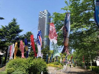 港区赤坂「ミッドタウン」の空に鯉100本！2022.5.5（木祝）