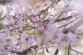 長いようで短いようで 2022.5.8（日）