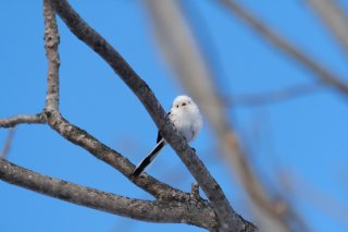 「青春七五三」の日 2022.5.15（日）