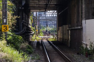 月曜日に思うこと 2022.5.16（月）