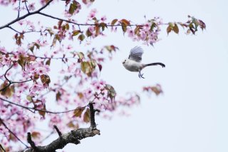 横向いてちょ…！ 2022.5.18（水）