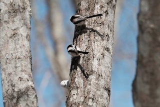 言葉は要らない 2022.5.22（日）