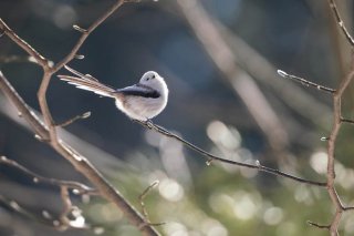 有無の日 2022.5.25（水）