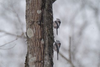 コンビ愛 2022.5.29（日）