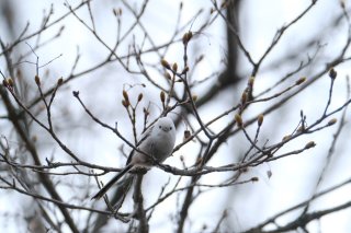 気象記念日 2022.6.1（水）