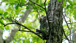 世界環境デー 2022.6.5（日）