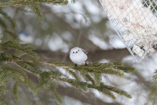 そんな日もあるよ 2022.6.8（水）