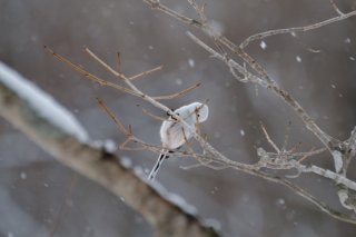 斜めに見るって悪くない 2022.6.11（土）