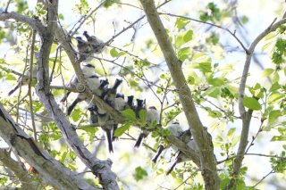 数の力 2022.6.19（日）