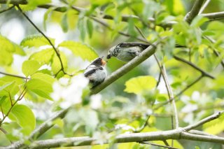 待ってたよ！ 2022.6.26（日）