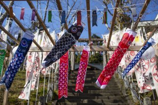 心和むそよ風を感じて 2022.6.3（金）