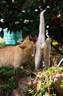 アニキの“たまたま”チェックに緊張…オシ★アナ好きも必見