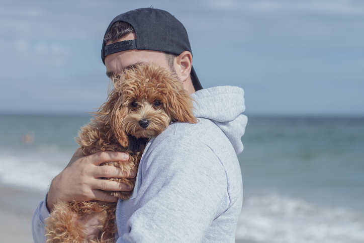 子犬系男子ってどんなタイプ？（写真:iStock）