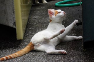 成長過程の少年“たまたま”にきゅん♡ 澄んだ瞳も美しすぎる