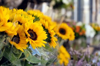 夏のお花を組み合わせて（写真:iStock）