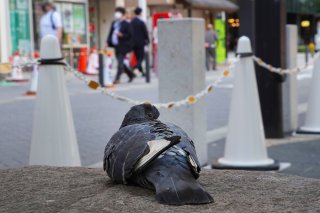 なんかよう？ 2022.7.4（月）