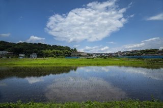 夏のにおいをかいだ日 2022.7.11（月）