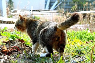 ワイルド“たまたま”かっこよすぎ！圧倒的オーラにうっとり♡