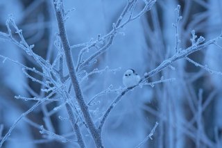 暑いのも寒いのもタイヘン 2022.6.29（水）