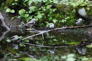 ほどよい距離感で 2022.7.3（日）