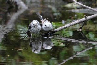 おっとっと！ 2022.7.6（水）