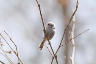 生命尊重の日 2022.7.13（水）