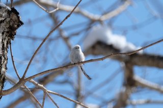 ハンバーガーの日 2022.7.20（水）