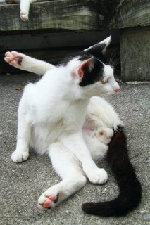 オレは“たまたま”に磨きをかける！パール男子に負けねえゼ!!