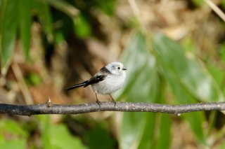 ラジオと過去と未来と 2022.8.7（日）