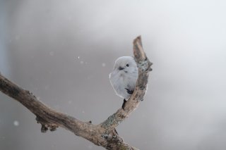 あした戦争が終わる 2022.8.14（日）