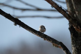 一歩一歩を確実に 2022.8.21（日）