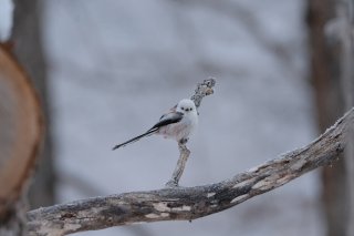 本当のところは…？ 2022.9.2（金）