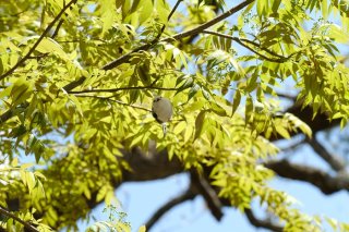 学校たのしみ？ 2022.8.31（水）