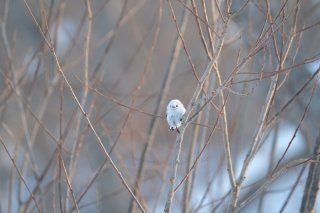 鳥は眠っても木から落ちない 2022.9.11（日）
