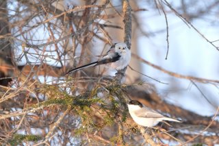 お手並み拝見！ 2022.9.14（水）