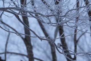 また季節が変わる 2022.9.18（日）