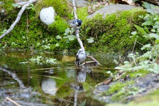 もしかしてナルシスト？ 2022.9.20（火）